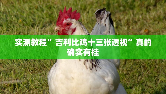 攻略必备“佛手在线透视挂”其实确实有挂
