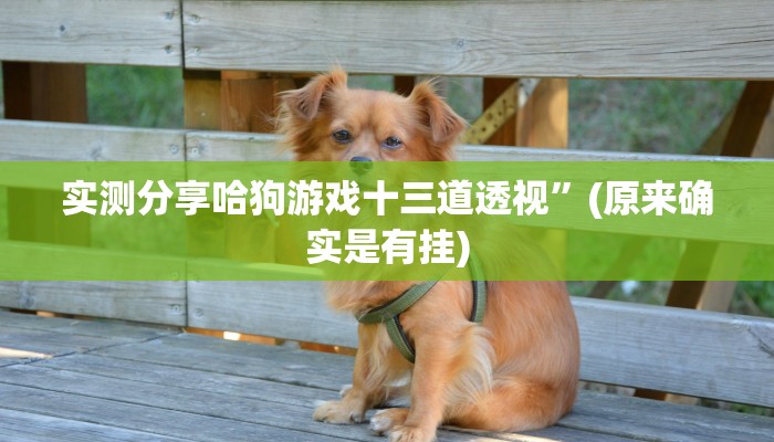 攻略必备“吉祥麻将填大坑开挂透视下载”真的确实有挂
