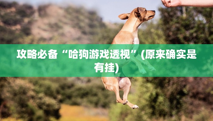 实测分享随意玩斗牛开挂透视下载”(原来确实是有挂)