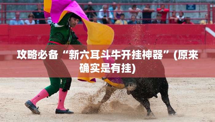 攻略必备“会星盟助赢神器”真的确实有挂