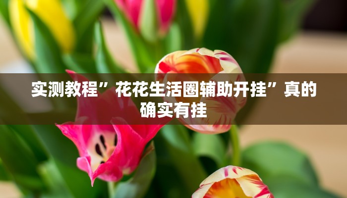 实测分享鲨鱼互动究竟有没有透视”其实确实有挂

