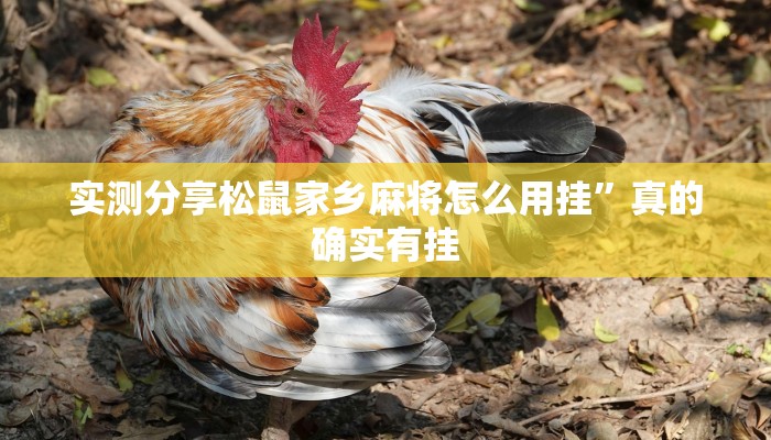 实测分享科乐白山麻将可以开挂吗”真的确实有挂
