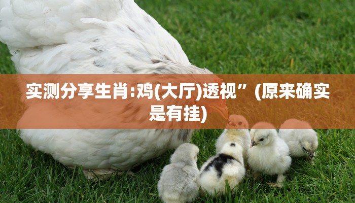 实测教程”兴动麻将透视”其实确实有挂
