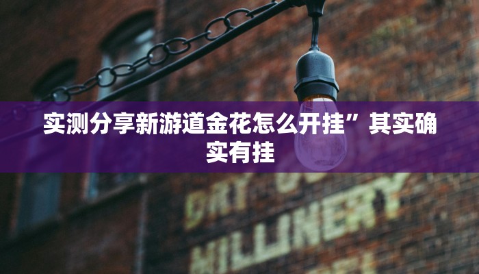 攻略必备“新西游有透视吗”其实确实有挂
