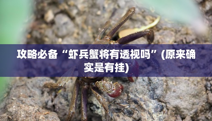实测教程”聚友合集有透视吗”(原来确实是有挂)