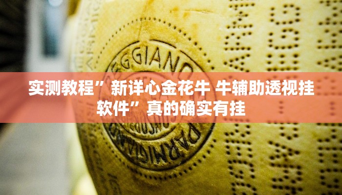 实测教程”德州局HHpoker怎么用挂”(原来确实是有挂)