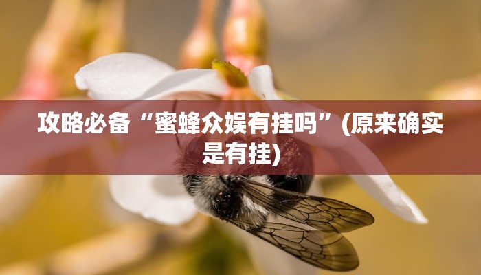 实测教程”哈灵上海麻将怎么开挂”(原来确实是有挂)
