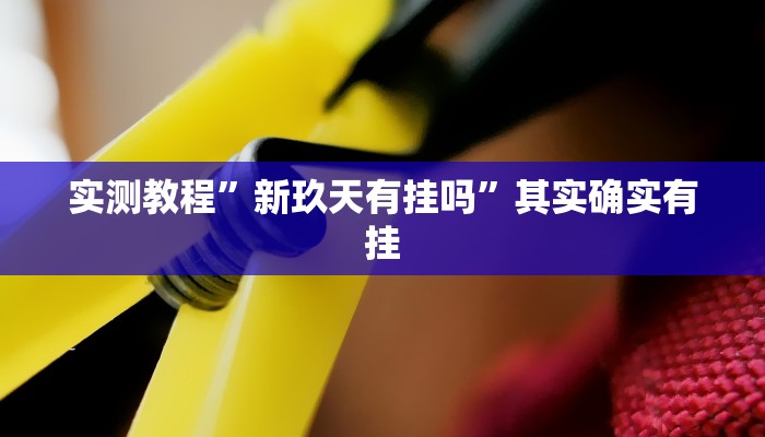 实测教程”新玖天有挂吗”其实确实有挂
