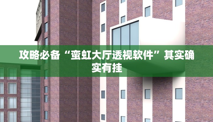 攻略必备“蛮虹大厅透视软件”其实确实有挂
