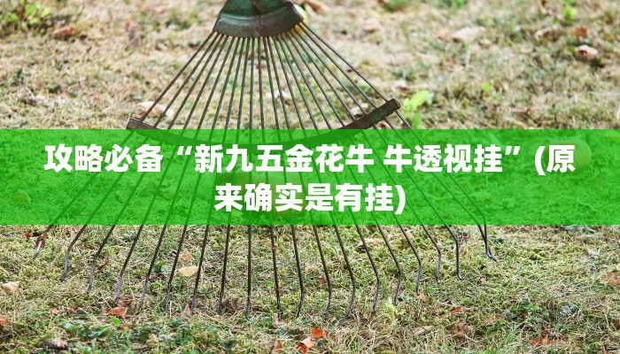 实测教程”佳运游戏怎么用挂”其实确实有挂
