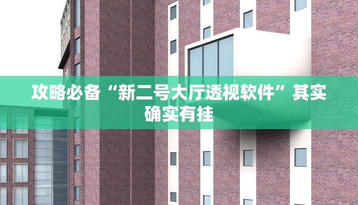 攻略必备“新二号大厅透视软件”其实确实有挂
