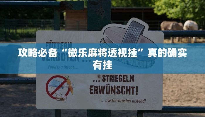 实测教程”皇豪众娱拼三张有挂吗”其实确实有挂
