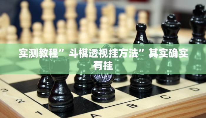 实测教程”aapoker作弊透视软件方法”(原来确实是有挂)