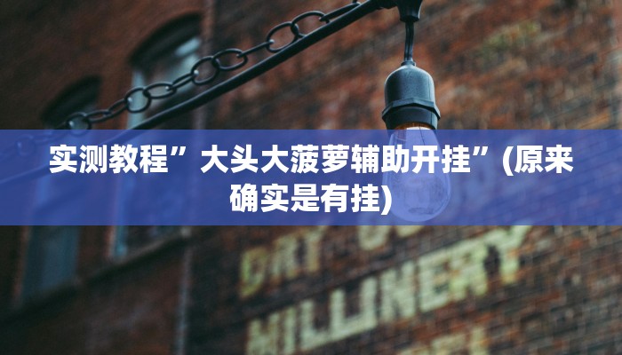实测教程”大头大菠萝辅助开挂”(原来确实是有挂)