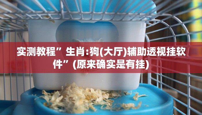 攻略必备“三湘互娱透视挂方法”(原来确实是有挂)