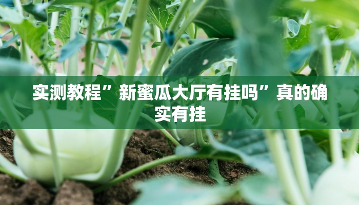 实测教程”众娱竞技作弊透视软件方法”其实确实有挂
