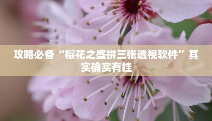 攻略必备“樱花之盛拼三张透视软件”其实确实有挂

