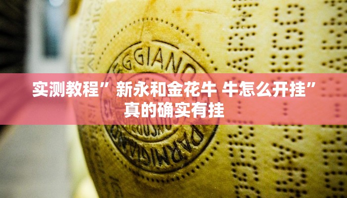 攻略必备“天天河北麻将用挂开挂软件”
真的确实有挂