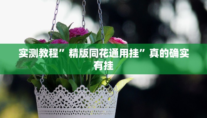 实测教程”掌酷十三张有透视吗”其实确实有挂
