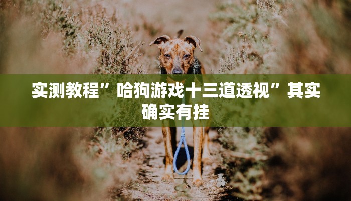 攻略必备“边锋二七十怎么开挂”真的确实有挂