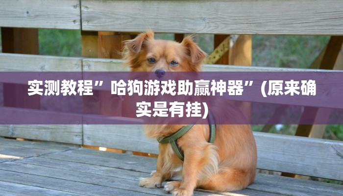 攻略必备“趣味板子炮开挂神器”其实确实有挂

