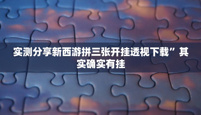 攻略必备“新海米开挂透视下载”其实确实有挂

