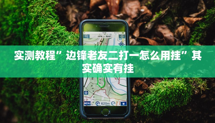攻略必备“情怀莆仙作弊透视开挂软件”真的确实有挂
