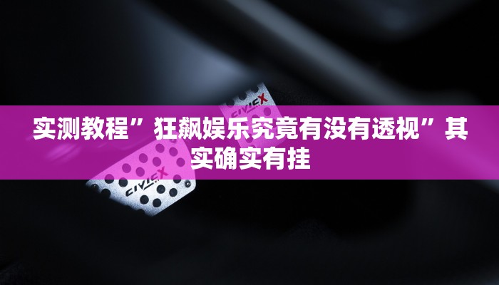 实测教程”中至游戏万能开挂器通用版”其实确实有挂
