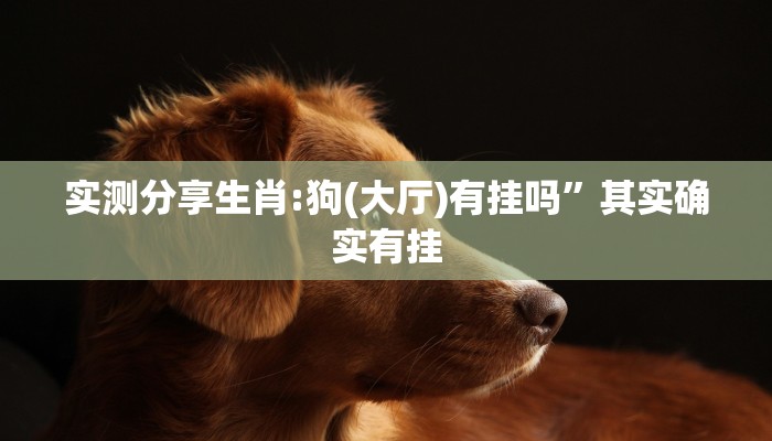 攻略必备“顺欣茶楼助赢神器”真的确实有挂