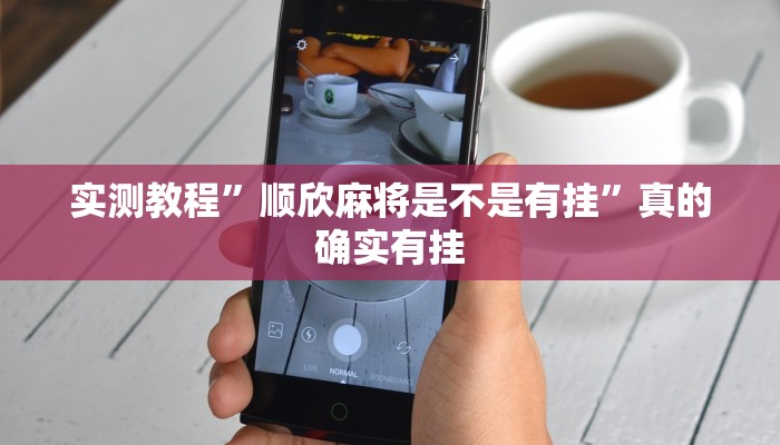 实测分享新天道金花作弊透视软件方法”真的确实有挂