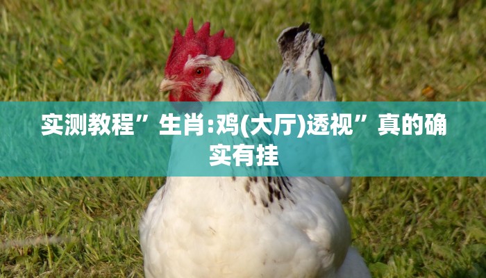 攻略必备“贝众乐游开挂透视下载”真的确实有挂
