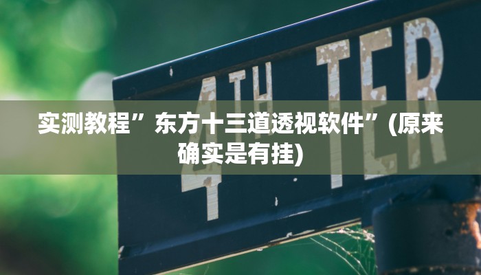 实测教程”东方十三道透视软件”(原来确实是有挂)