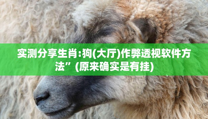 实测分享生肖:狗(大厅)作弊透视软件方法”(原来确实是有挂)
