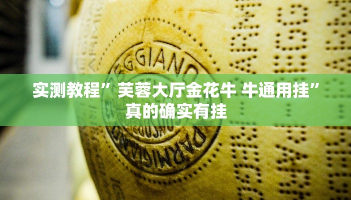 实测分享熊猫竞技开挂透视下载”真的确实有挂