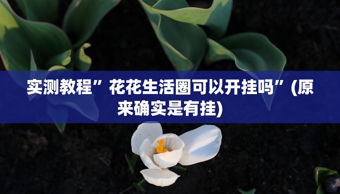 实测教程”牵手娄底跑胡子用挂开挂软件”
(原来确实是有挂)