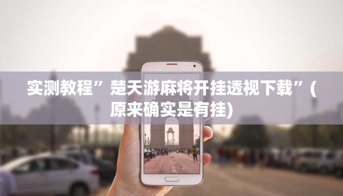 实测教程”新鸿狐斗牛可以开挂吗”其实确实有挂
