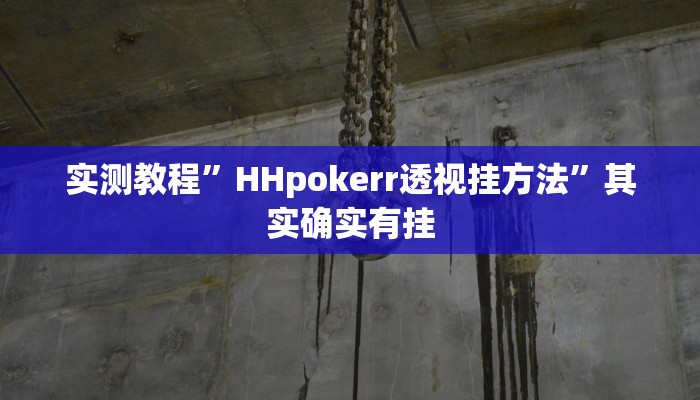 实测教程”飞禽走兽究竟有没有透视”其实确实有挂
