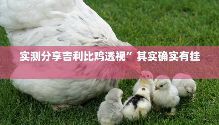 实测分享吉利比鸡透视”其实确实有挂
