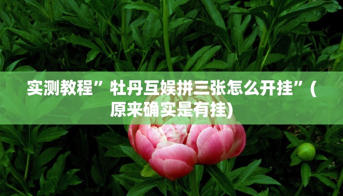 实测教程”陕西挖坑作弊透视软件方法”真的确实有挂