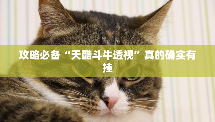 攻略必备“天酷斗牛透视”真的确实有挂
