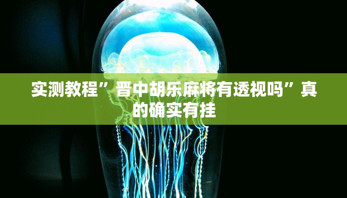实测教程”会友山西麻将用挂开挂软件”
真的确实有挂