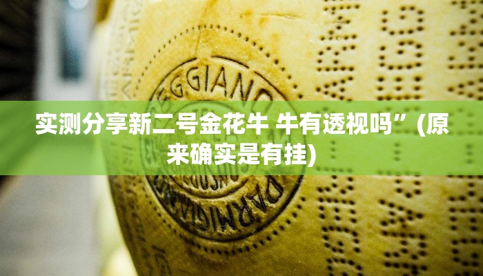 实测教程”AI poker用挂开挂软件”
真的确实有挂