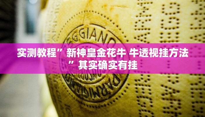 实测教程”西兵互娱可以开挂吗”其实确实有挂
