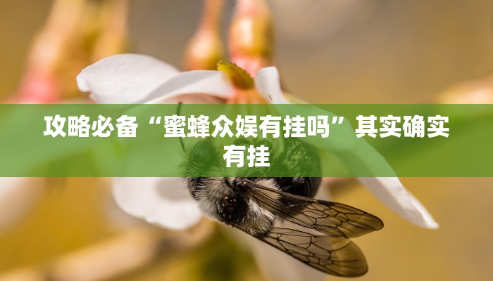 攻略必备“粤东百乐汇透视挂”真的确实有挂