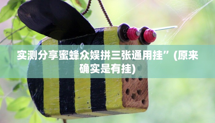 实测分享桂林跑胡子辅助挂软件”(原来确实是有挂)