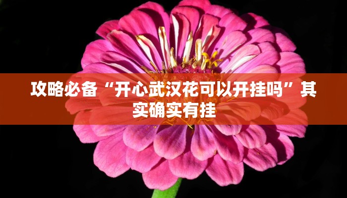 攻略必备“张同学俱乐部万能开挂器通用版”真的确实有挂