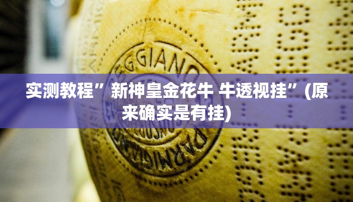 实测教程”wepoker辅助开挂”其实确实有挂
