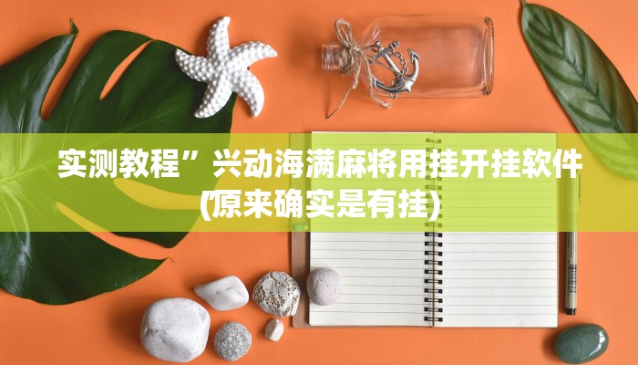 实测教程”皮皮跑胡子透视”其实确实有挂
