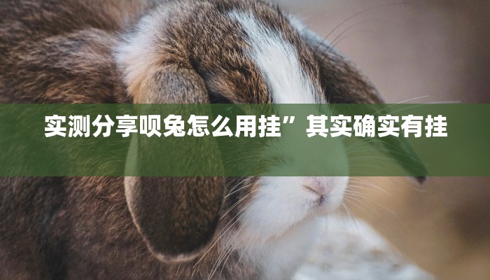 攻略必备“大海互娱拼十作弊透视开挂软件”(原来确实是有挂)