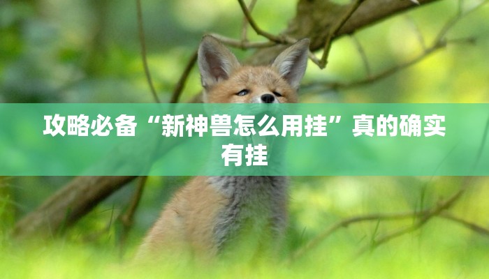 攻略必备“点动互娱作弊透视软件方法”其实确实有挂
